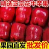 [Alta Calidad] Manzana Huaniu de Tianshui, Gansu Fruta Fresca Fruta Serpiente Rosa de Temporada Dulce Crujiente Caja Entera Precio de Mayoreo