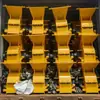Trituradora de Martillos Residuos de Construcción Bloque Ligero Trituradora de Martillos Trituradora Móvil Pequeña Máquina Trituradora de Martillos para Arena