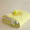 Colcha de Aire Acondicionado Antibacteriana de Doble Cara Clase A Verano Seda de Hielo Benton Amoníaco Colcha Fresca de Verano Lavable a Máquina Colcha de Verano Colcha Fina para Estudiantes
