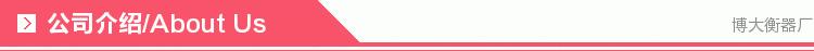 博大公司介绍