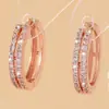 Novos Brincos de Zircônia Microcravejados de Dupla Fileira Cor Rose Gold para Mulheres, Tendência Estilo Ins Leve Luxo Alta Costura Acessórios de Orelha