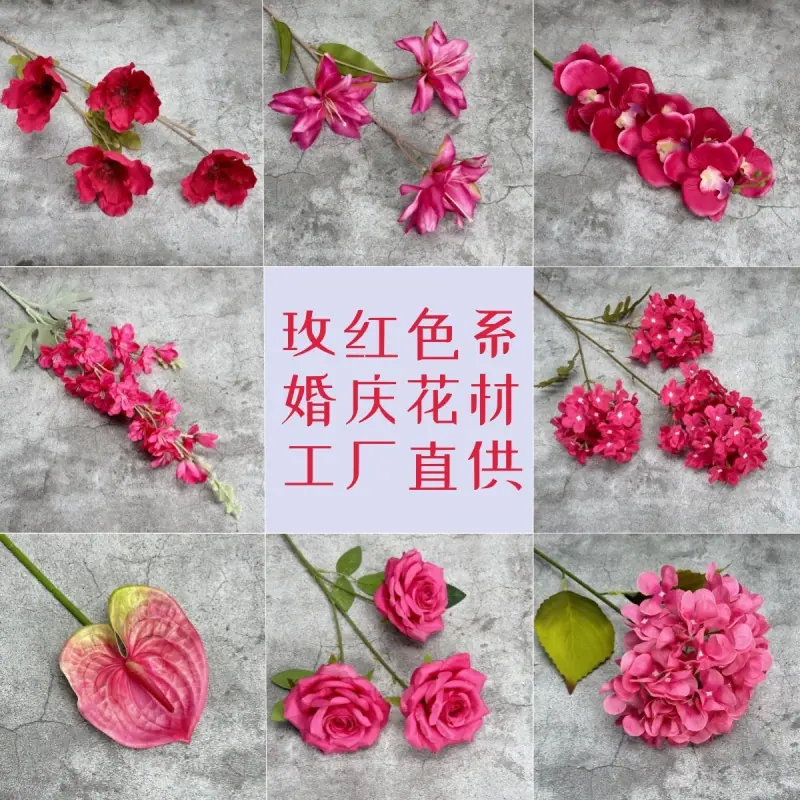 微信图片_20230414124208_副本1_副本.jpg