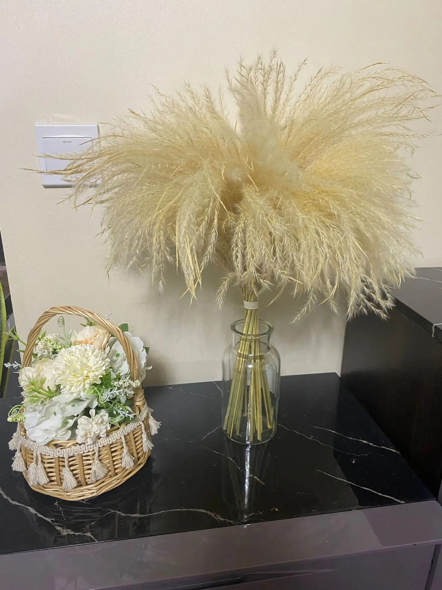 白芦苇1
