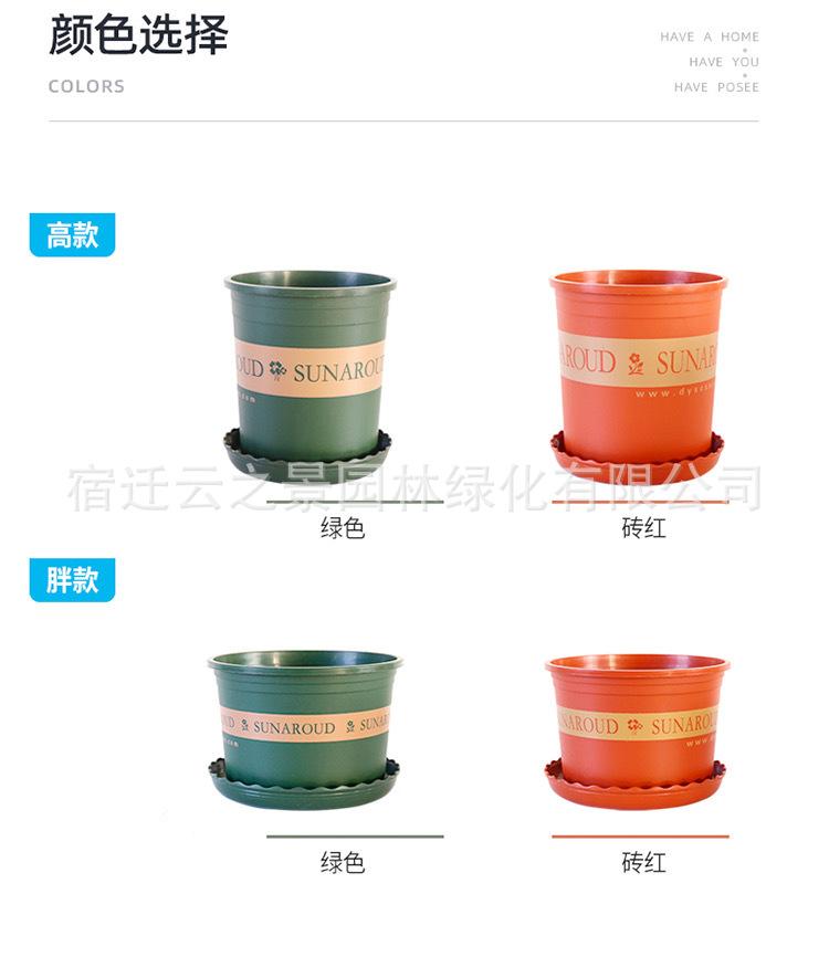 详细6.JPG