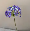 Flor Artificial Simulada Baizi Lian de Gama Alta Hortensia Realista Flor Falsa Decoración Escena Diseño Se Puede Enviar Baizi Lian