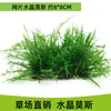 Plantas Acuáticas Vivas Directamente de la Pradera: Red de Musgo, Matsutake de Llama Viva, Colección de Musgo de Cristal Llorón para Acuarios