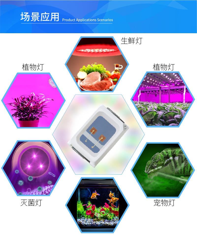 2016详情B-04