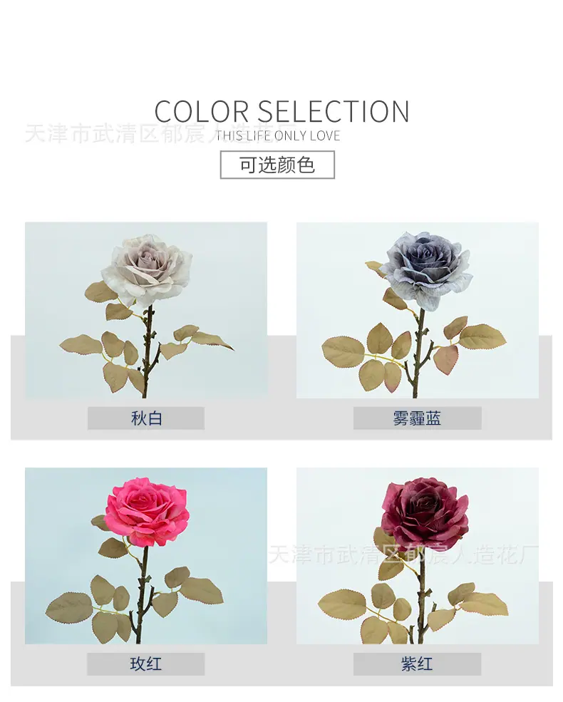 详情_02.jpg