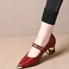 Zapatos de Tacón Alto Multicolores Nuevos de Verano para Mujer, Tacón Grueso, Estampado de Serpiente, Charol, Suela Suave, Antideslizantes, Zapatos para Ir al Trabajo, Suministro Directo de Fábrica
