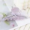 (Liquidación) Yhj Accesorios para el Cabello, Pinzas para el Cabello de Pedrería de Alta Gama, Pinzas de Tiburón en la Parte Posterior de la Cabeza, Accesorios para el Cabello, Pinzas para el Cabello