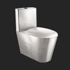 Atacado Aço Inoxidável 304 Vaso Sanitário Banheiro Descarga Direta Anti-incrustante Vaso Sanitário de Chão Vaso Sanitário com Descarga