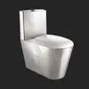 Vaso Sanitário Personalizado de Aço Inoxidável 304 Economizador de Água e à Prova de Odores para Uso Transfronteiriço, Banheiro Público de Prisão com Caixa Acoplada, Assento de Vaso Sanitário de Aço Inoxidável