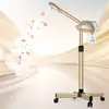 Salão de Beleza Novo Modelo Transfronteiriço Vaporizador Facial Máquina de Spray Quente de Tubo Único Máquina de Nano Spray Dispositivo Hidratante Fabricante Atacado