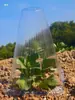 1418 Cubierta de Plástico Transparente para Plantas, Cubierta de Aislamiento en Forma de Cono, Cubierta Protectora de Jardinería, Cubierta de Aislamiento e Hidratación para Plántulas de Siembra al Aire Libre