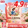 Polvo para Lavar Liby Master Fragrance Fragancia de Larga Duración Potente Eliminación de Manchas Detergente para Ropa al por Mayor para el Hogar Bolsa de 5 kg Económica