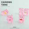 Accesorios de Dibujos Animados 3D DIY, Figuras de Cerditos de Dibujos Animados Luminosos, Materiales para Llaveros Creativos Hechos a Mano de Resina de Dibujos Animados al por Mayor