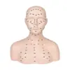 Cabeza Modelo Salón de Belleza Cabeza de Maniquí Modelo Técnica de Masaje de Puntos de Acupuntura Faciales Maniquí Cabeza Práctica de Belleza