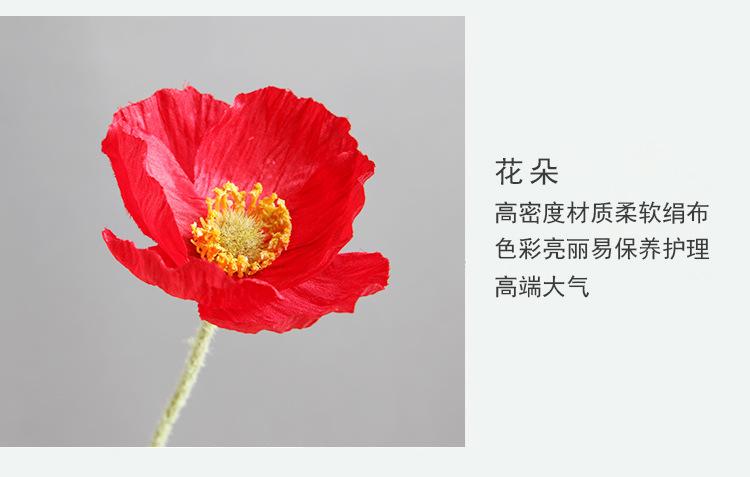 小枝多头罂粟花