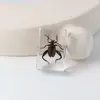 Especímenes Delgados de Insectos Reales, Adornos de Escritorio de Animales Reales, Escorpiones, Tortugas Doradas, Cigarras, Materiales Didácticos para Niños, Manualidades de Resina