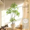 Planta Nandina Aterrizaje Planta en Maceta Interior Grande Biónica Verde Adornos Sala de Estar Lujo Ligero Flor Decorativa Árbol Falso
