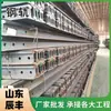 Suministro en Stock de Riel Ligero Q235 55Q50Mnu71Mn70Kg80Kg100Kg120Kg Riel de Grúa Riel de Acero