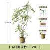 Haihong Mismo Estilo Interior Grande de Alta Gama Lujo Ligero Adornos de Decoración de Planta Pseudo Bambú Nantian Simulación Planta Verde Junto al Sofá