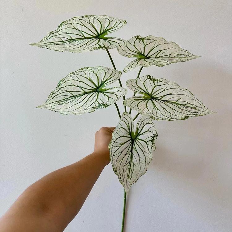 5叉3D打印芋叶-绿纹白色.jpg
