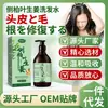 Champú Aceite de Jengibre Platycladi Control de Grasa Voluminizador Refrescante Reparación Cuero Cabelludo Folículo Piloso Fábrica en stock