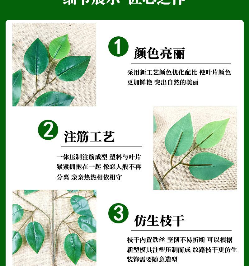 榕树叶_03.jpg