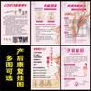 Anúncio de Imagem para Reparo Pós-Parto Produção de Cartaz de Reabilitação Yuezi Kang Hai Bao Lactação Pélvis Recuperação Uterina Decoração de Pintura Pendurada