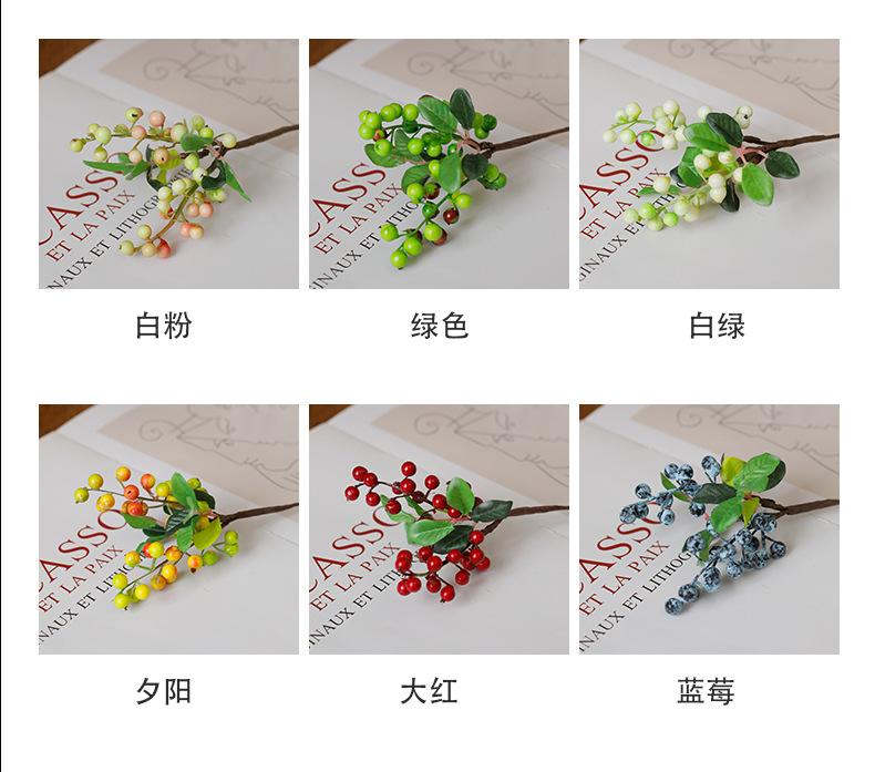 小号浆果_04