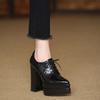 Zapatos de Salón Individuales con Tacón Grueso de Charol para Mujer, Nuevo Estilo Primavera y Otoño 2026, Zapatos de Tacón Alto Súper Elegantes con Plataforma y Cordones para Mujer