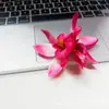 Clip para el Cabello de Flor de Orquídea Phalaenopsis Nuevo Primavera 2025 Pasador de Playa Adorno para el Cabello de Vacaciones para Cabello Suelto