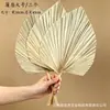 Hojas de palma secas, grandes frondas de palma, arreglos florales de estilo natural para floristerías, textiles para el hogar, decoraciones de arcos, decoraciones para escenas de bodas, hojas de palma
