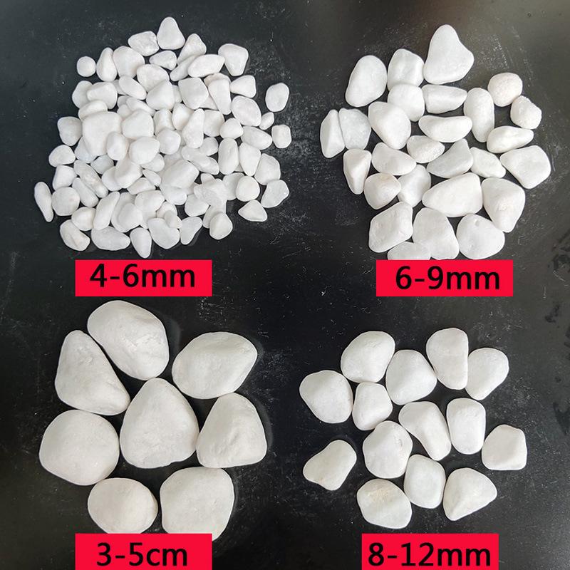 白 石 子规格.jpg