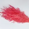 Hierba de Amor Blanqueada Flor Inmortal Hierba de Amor Blanqueada Ramo Seco Material Base Yunnan Venta Directa Ramo Pequeño Amazon