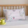 2026 Nuevo Modelo Clase A Funda de Almohada de Ratán Hielo para Niños Funda de Almohada para Jardín de Infancia Funda de Almohada para Niños Funda de Almohada Individual