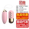 Vibrador Laile de serie completa, conversión de frecuencia, concha pequeña, palo de delfín, huevo saltarín, masturbador femenino, juguetes sexuales para adultos