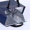 Bolsa Impermeable Aislada para Llevar Barbacoa Té con Leche Bolsa de Tela No Tejida Color Puro Lámina de Aluminio Bolsa de Mano No Tejida Personalización