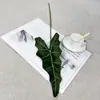 Planta Verde de Novo Produto Transfronteiriço Folha de Calla Folha de Begônia Folha de Taro Colorida Planta Guia de Corredor de Casamento Parede de Plantas Design Floral DIY
