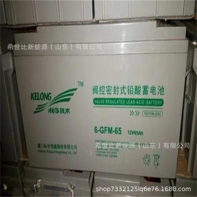 12V65AH1.webp.jpg
