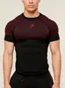 Camiseta Deportiva Ajustada para Hombre Gym-Shark Fitness Manga Corta Running Entrenamiento Secado Rápido Baloncesto Exclusiva Transfronteriza