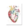 Anatomia humana coluna vertebral coração e cérebro pôster de arte pôster mapa corporal fundo de educação médica pintura decorativa de parede núcleo