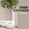 Maceta de plástico imitación piedra tamaño grande para el hogar estilo lujo ligero de alta gama color crema sala de estar oficina planta verde grande forma de bola redonda