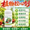 Control de Plantas Control de Corazón de Espada Agente Fuerte Agente Espesante Cultivo de Plantas Fuerte No Sobrecrecimiento Controlar Brotes No Controlar Fruta Promover Flores Hinchar Fruta Control Correcto Fuerte