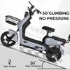 Suministro exclusivo transfronterizo: Bicicleta Eléctrica de Dos Ruedas Shenniu 48V E-Bike para Viajes Diarios, Venta al por Mayor de Fabricantes de Bicicletas Eléctricas