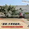 Malla Especial para Rosas Trepadoras, Rejilla para Paredes de Plantas Trepadoras, Red de Tracción para Paredes de Enredaderas, Red de Trepa para Jardinería