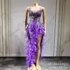 Anfitrión Modelo de Performance de Cumpleaños Vestido Largo Bodycon Elástico de Plumas Coloridas con Pedrería Vestido de Noche Escenario Adulto Fantasía