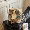 Bolso cubo popular de este año para mujer 2024 primavera y verano nuevo bolso de hombro casual de moda nicho mensajero para ir al trabajo
