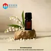 En stock frasco de aceite esencial marrón de 30 ml con tapa pequeña, frasco de serum de vidrio de 10 ml, materiales de empaque cosmético